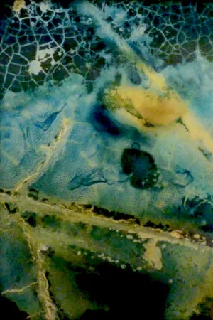 Постер: Water Mining (Eaton Canyon)