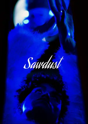 Постер: Sawdust