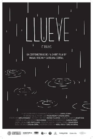 Постер: It Rains