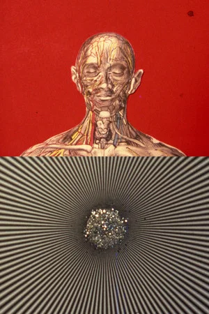 Постер: El mensaje es facial