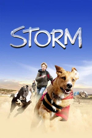 Постер: Storm
