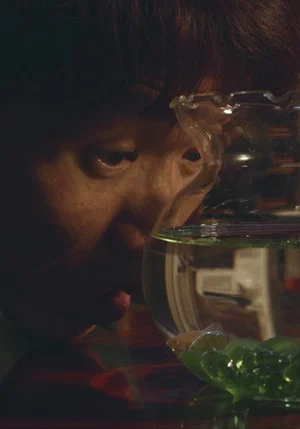 Постер: Corydoras