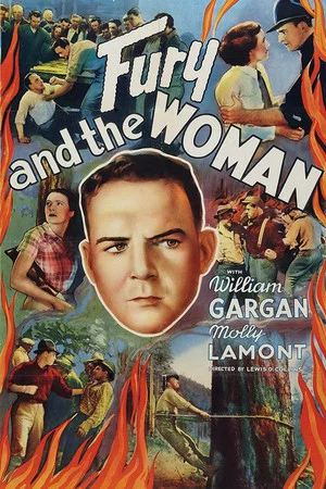Постер: Fury and the Woman