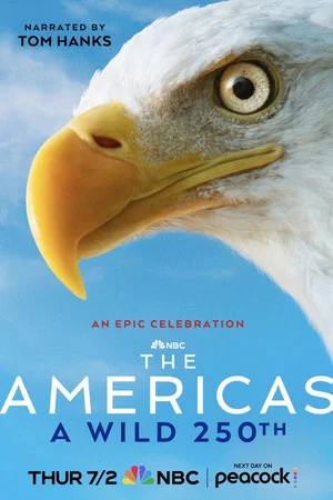 Постер: The Americas: A Wild 250th