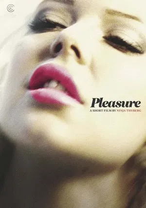 Постер: Pleasure