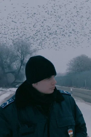 Постер: Everything Alright