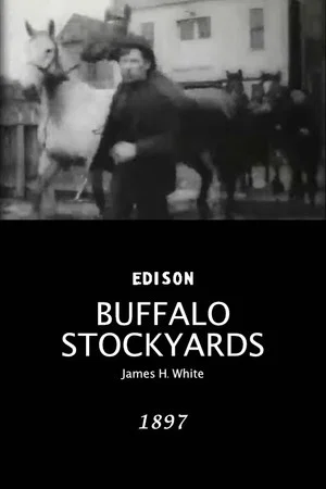 Постер: Buffalo Stockyards