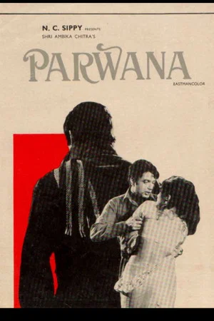 Постер: Parwana