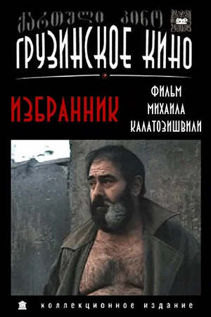 Постер: Избранник