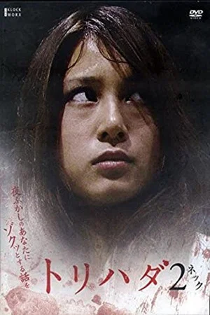 Постер: Torihada 2: yofukashi no anata ni zotto suru hanashi wo