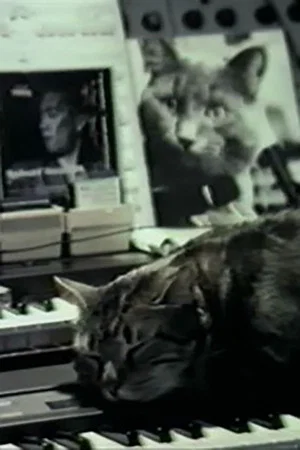 Постер: Cat Listening to Music