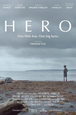 Постер: Hero