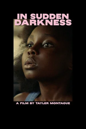 Постер: In Sudden Darkness