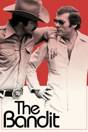 Постер: The Bandit
