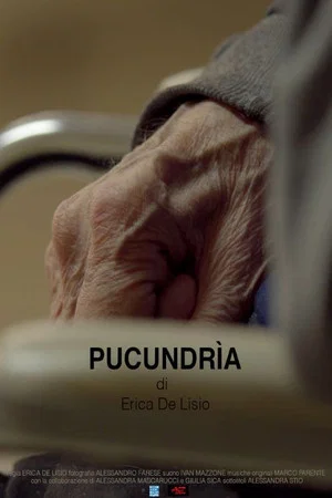 Постер: Pucundrìa