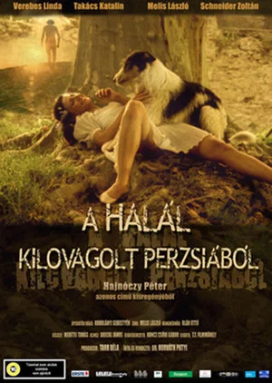 Постер: Death Rode out of Persia