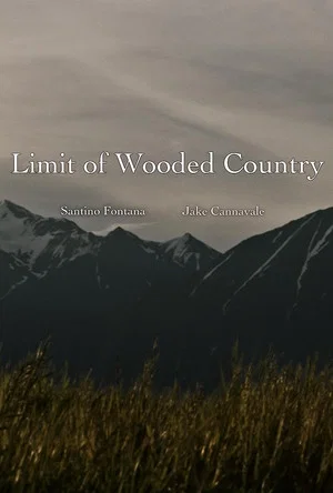 Постер: Limit of Wooded Country