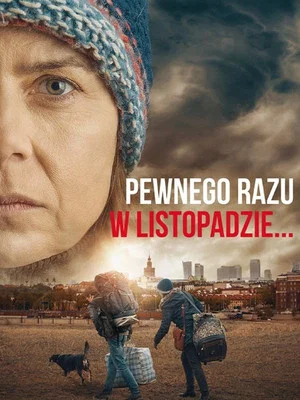 Постер: Once Upon a Time in November