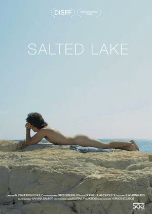 Постер: Salted Lake
