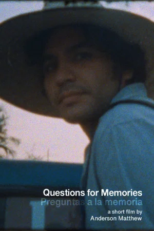 Постер: Questions for Memories