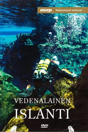 Постер: Underwater Iceland