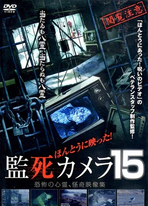 Постер: Paranormal Surveillance Camera 15