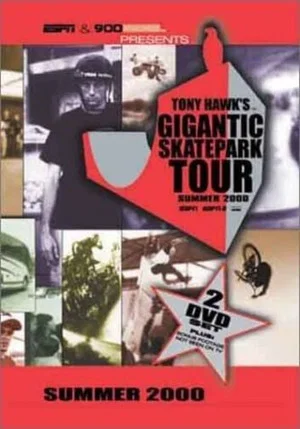 Постер: Tony Hawk's Gigantic Skatepark Tour 2000