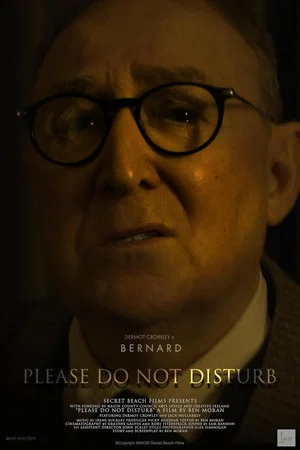 Постер: Please Do Not Disturb