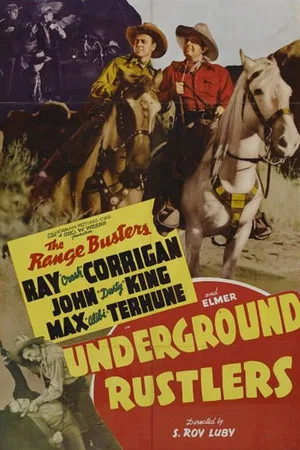 Постер: Underground Rustlers