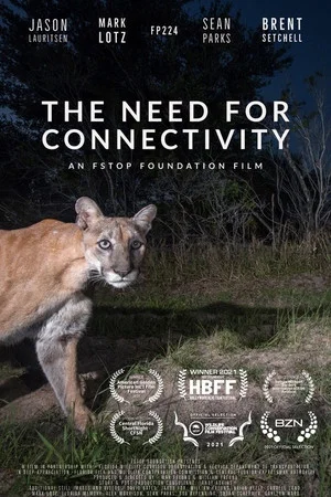 Постер: The Need for Connectivity