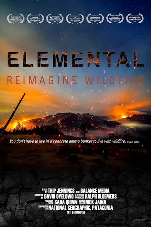Постер: Elemental: Reimagine Wildfire