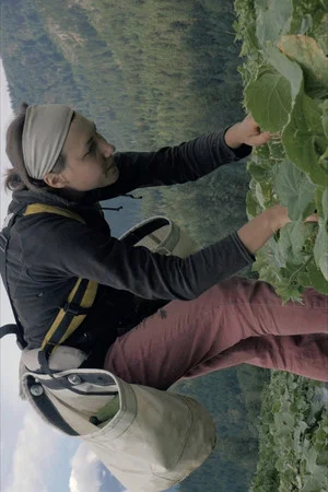 Постер: Age of the Farmer