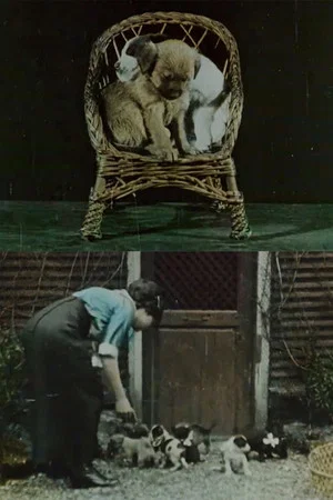 Постер: Family of Puppies