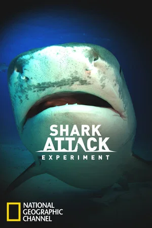 Постер: Shark Attack Experiment Live