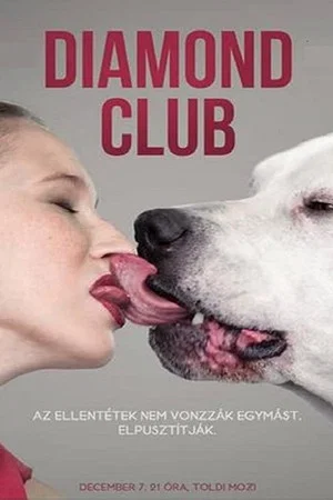 Постер: Diamond Club