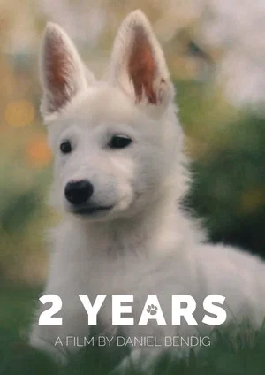 Постер: 2 Years