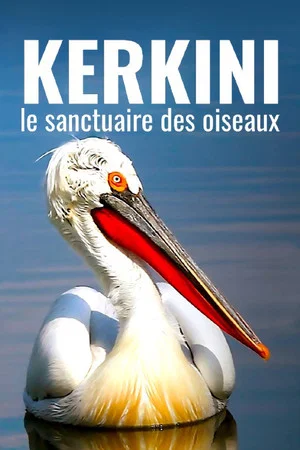 Постер: Kerkini: The Bird Sanctuary