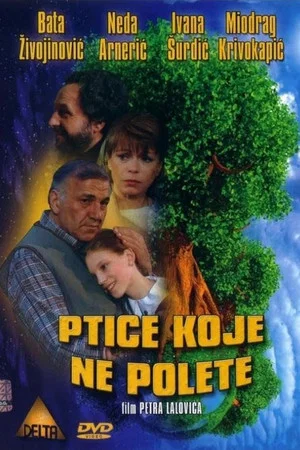 Постер: Some Birds Can't Fly