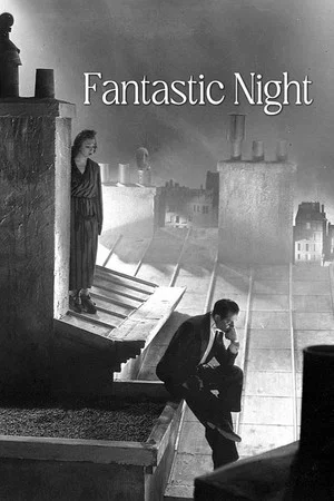 Постер: Fantastic Night