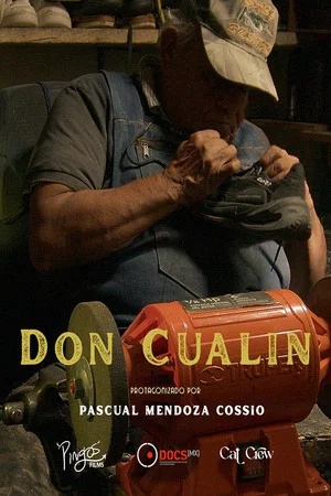 Постер: Don Cualin, a Brief Truth