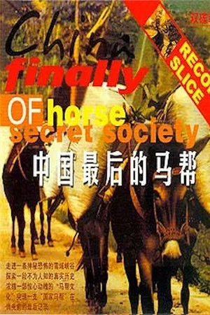 Постер: The Last Caravan
