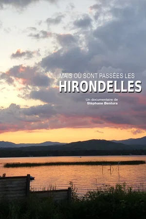 Постер: Où sont passées les hirondelles ?