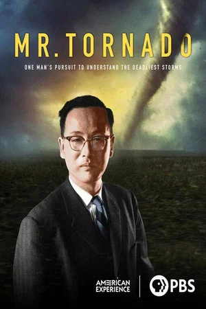 Постер: Mr. Tornado