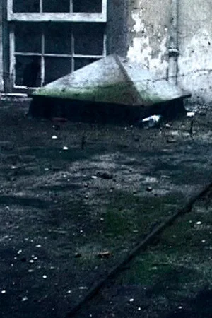 Постер: Remains