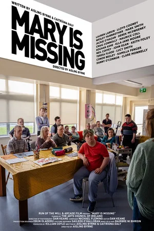 Постер: Mary Is Missing