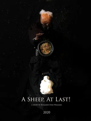 Постер: A Sheep, At Last!