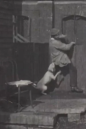 Постер: The Tramp and the Dog