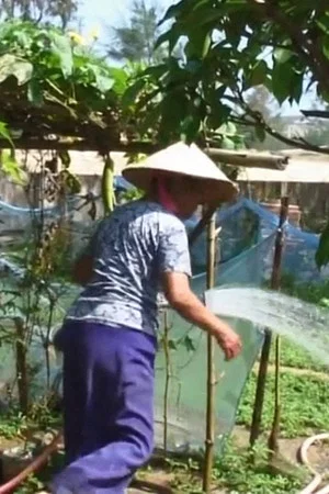 Постер: Đất đai thuộc về ai