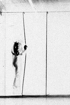 Постер: Vertical and Receding Lines