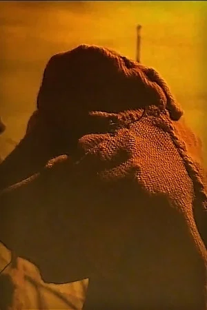 Постер: In the Desert